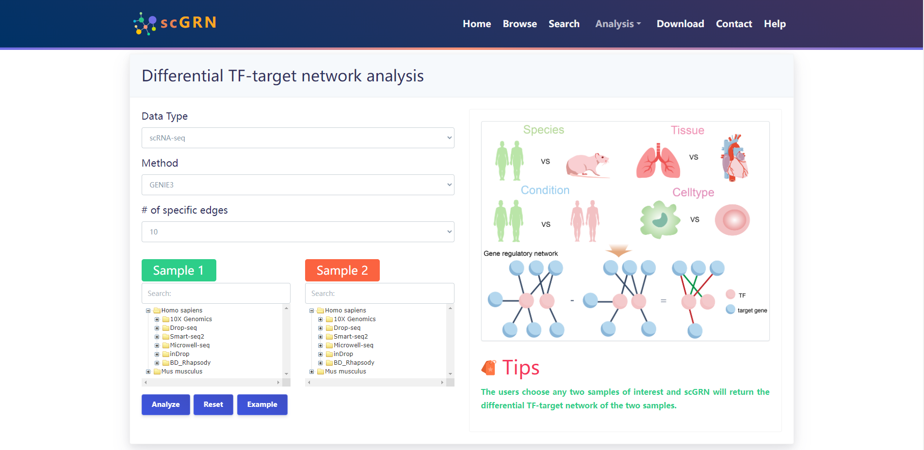 diffrential_network